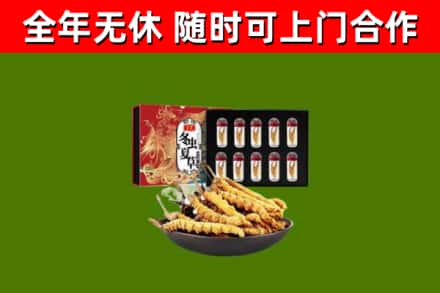 嘉峪关烟酒回收冬虫夏草礼盒.jpg