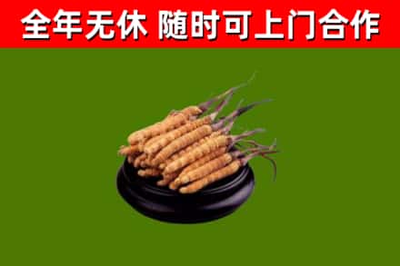 嘉峪关烟酒回收冬虫夏草.jpg
